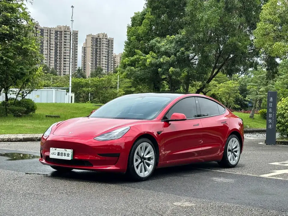 Tesla Model 3 Standard Range Rear-Wheel Drive Upgrade 3D6 2021