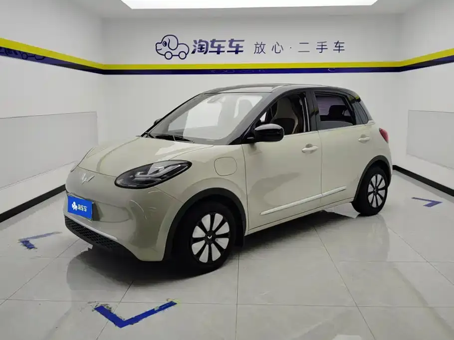 Wuling Motors Wuling Bingo Model 333km Joy+ Version 2024