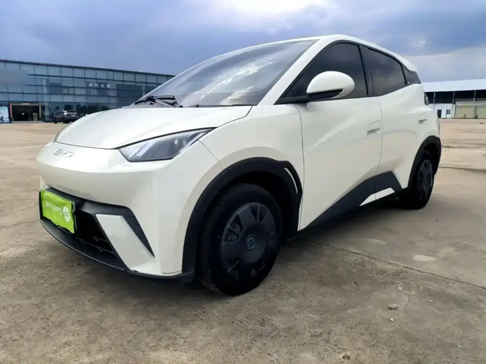 BYD Seagull Glory Edition 305km Vitality Edition 2024