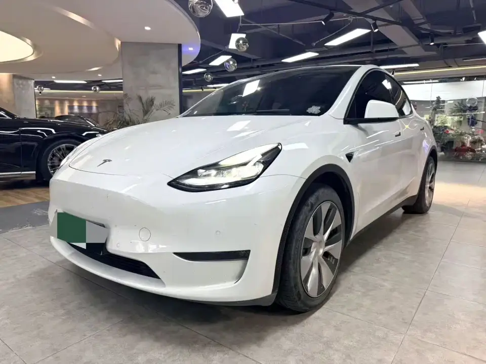 Tesla Model Y Standard Range Rear-Wheel Drive 2021