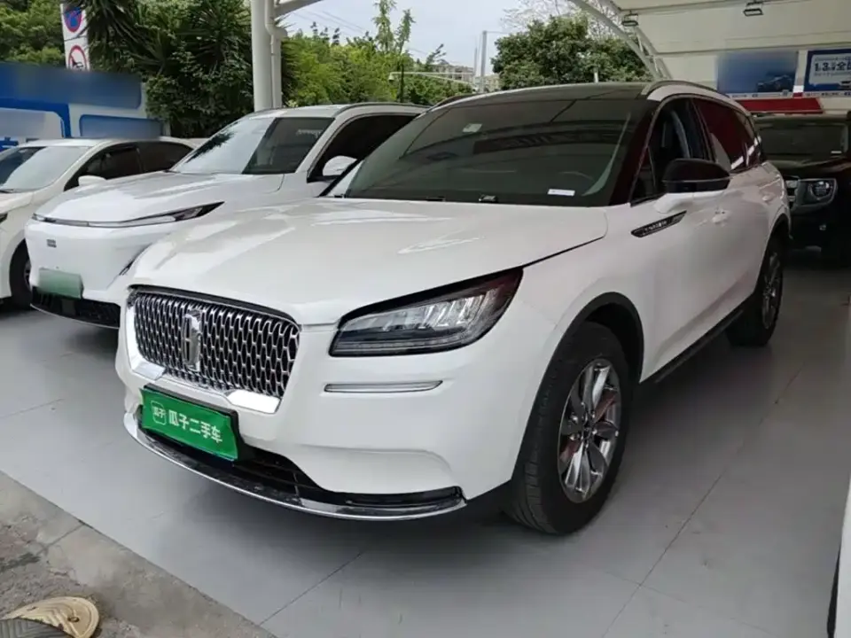 Lincoln Adventurer 2.0T 2WD Premium Enjoyment Edition 2020