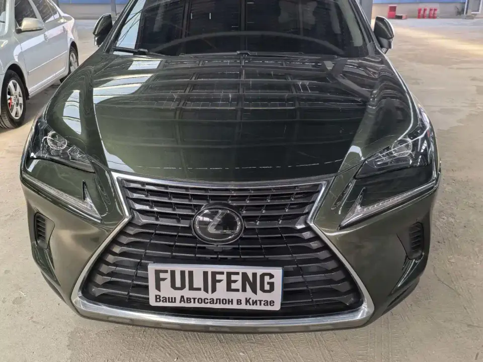 Lexus NX 200 AWD F Sport China VI 2020