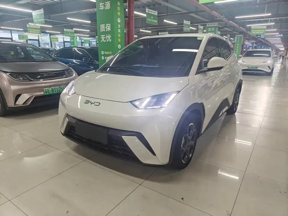 BYD Seagull 305km Freedom 2024