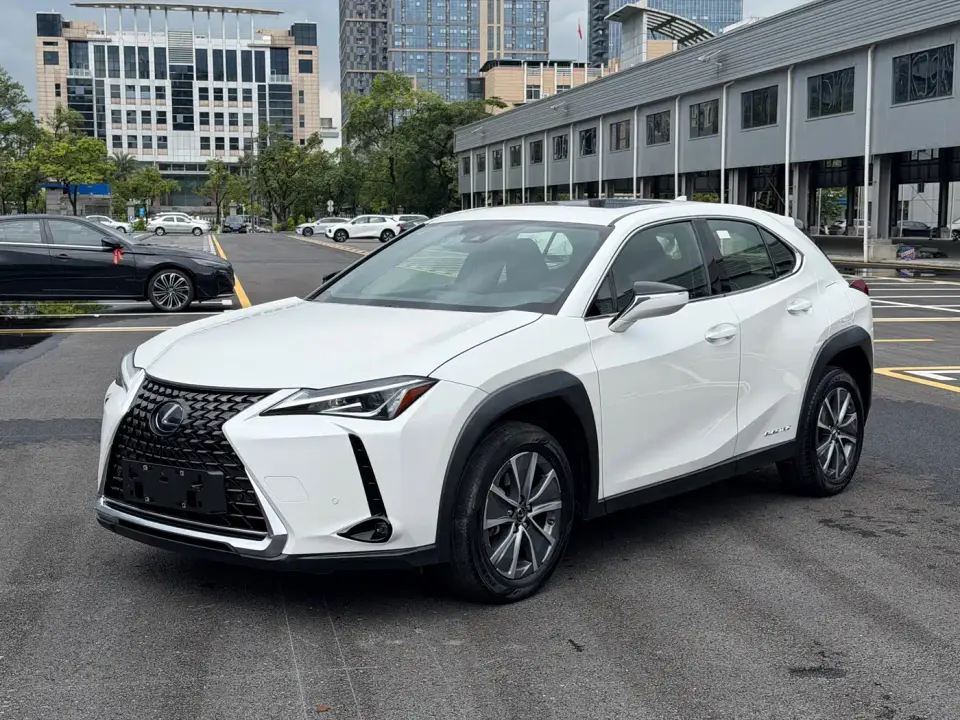 Lexus UX Electric 300e Pure Yue Edition 2022