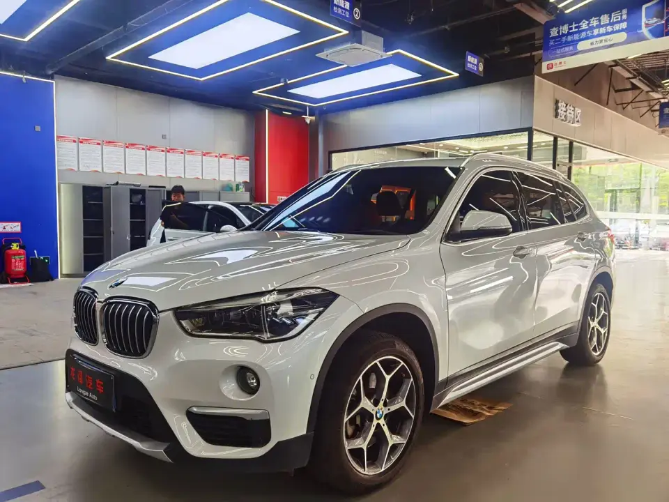 BMW X1 xDrive20Li Luxury Model 2019