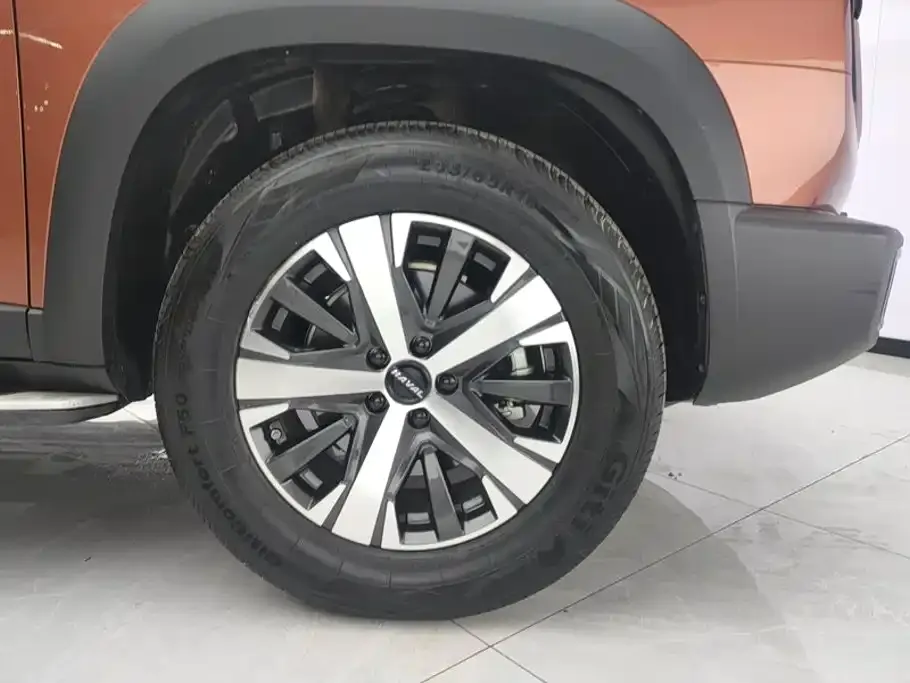 Haval Big Dog 1.5T DCT FWD Labrador Edition 2022 — фото 6