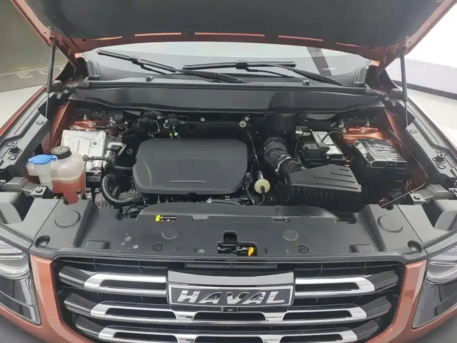 Haval Big Dog 1.5T DCT FWD Labrador Edition 2022 — фото 10