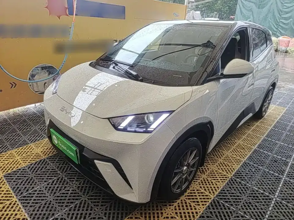 BYD Seagull Glory Edition 305km Vitality Edition 2024