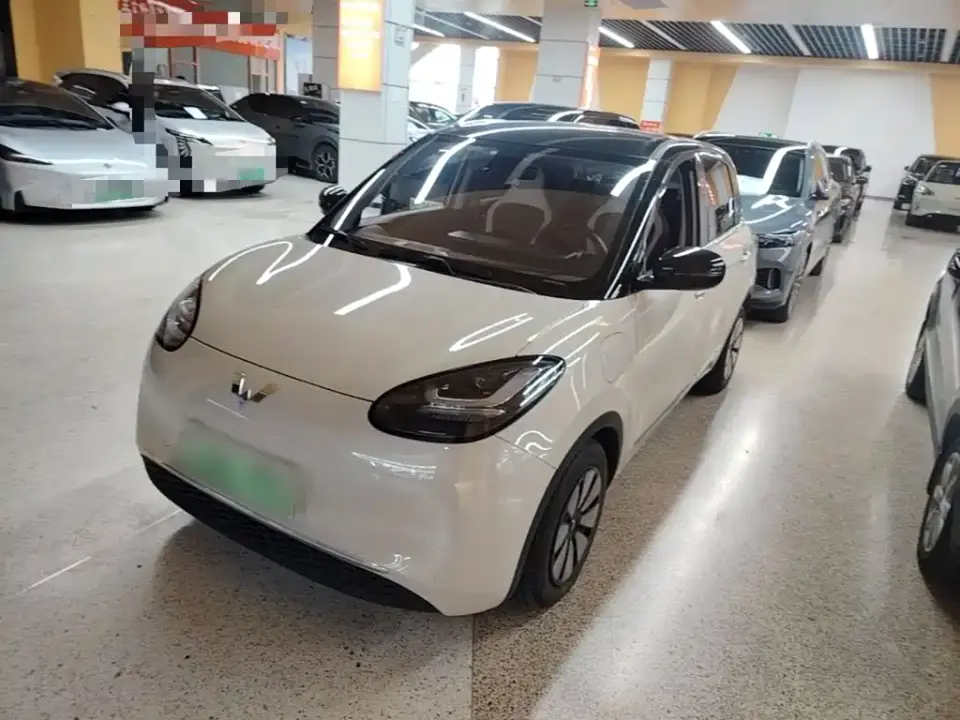 Wuling Motors Wuling Bingo 410km Lingxi Premium Edition 2024
