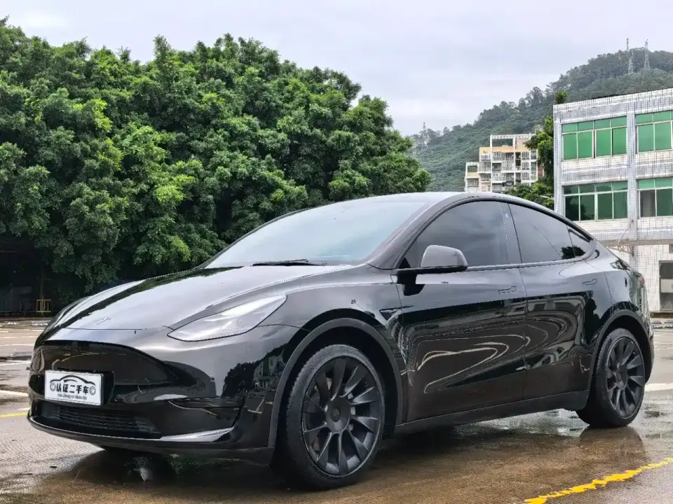 Tesla Model Y Rear-Wheel Drive Version 2022