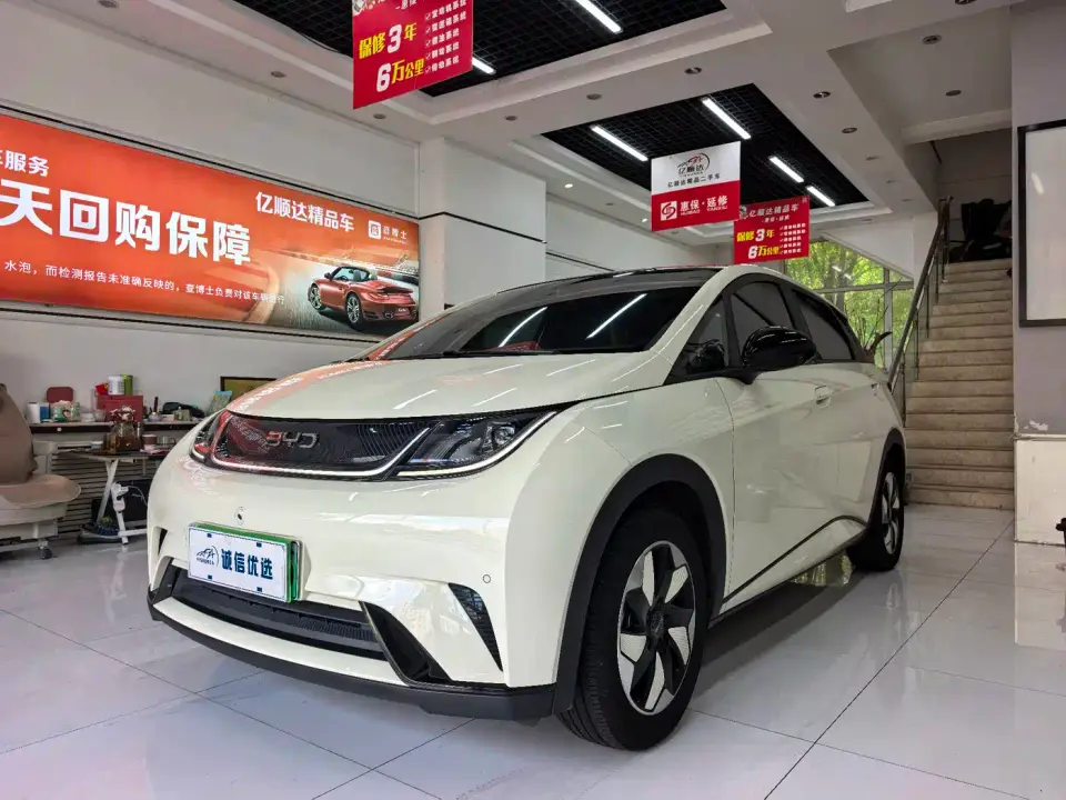 BYD Dolphin Glory Edition 420km Fashion Edition 2024