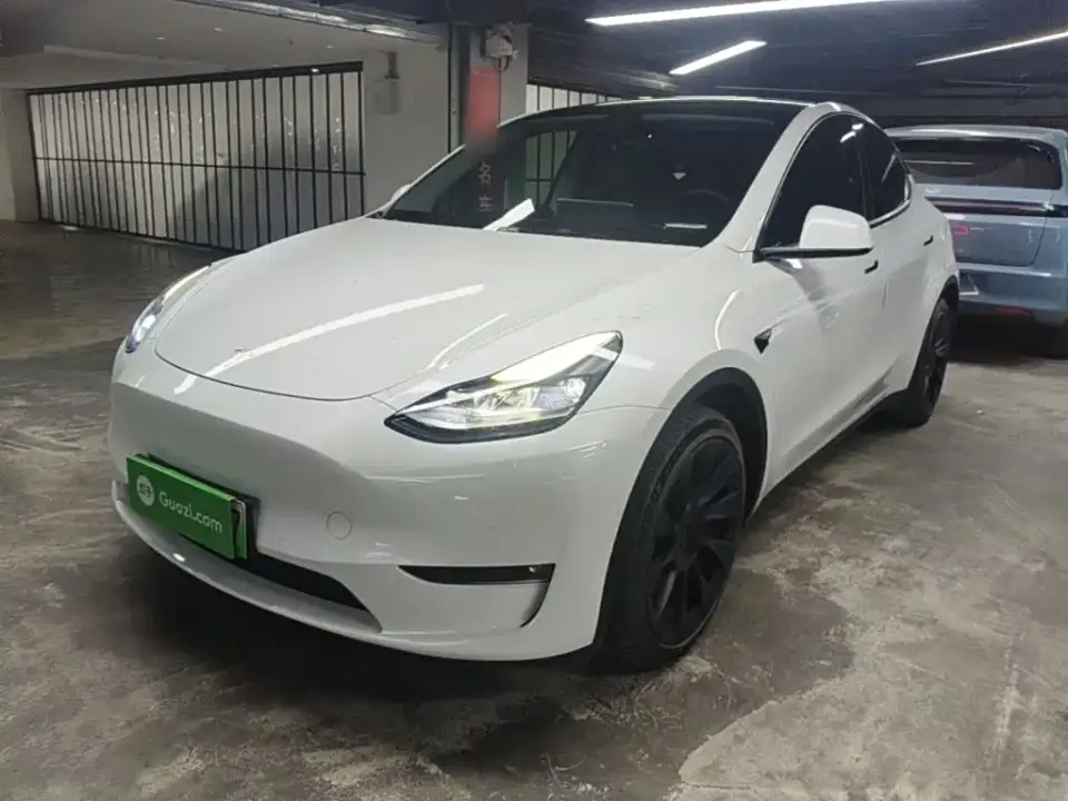 Tesla Model Y Model Long Range AWD 2021