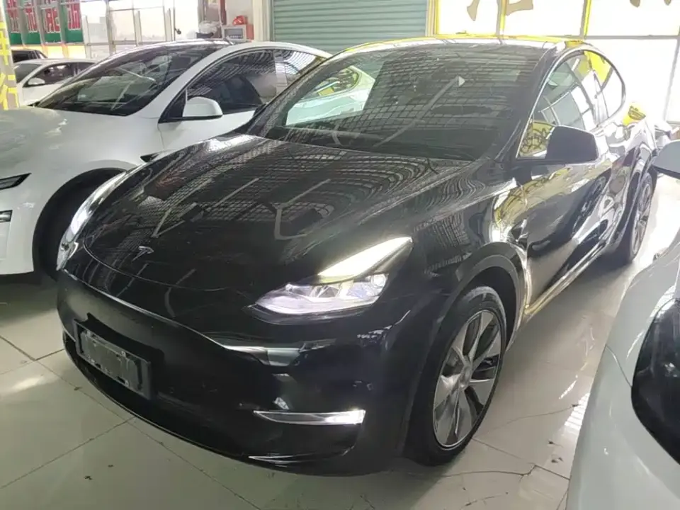 Tesla Model Y Standard Range Rear-Wheel Drive 2021