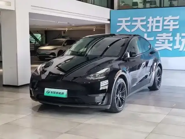 Tesla Model Y Model Long Range AWD 2021