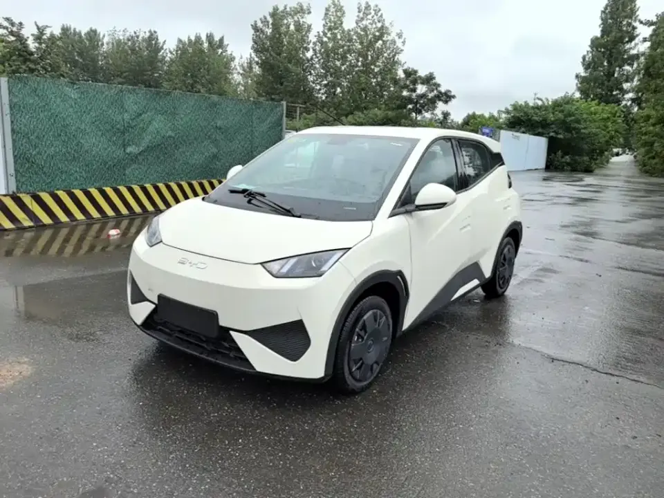 BYD Seagull Smart Drive Edition 305km Vitality Version 2026