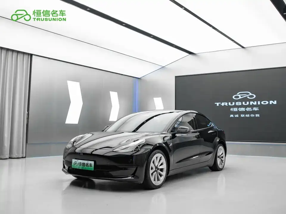 Tesla Model 3 Facelift Standard Range RWD Upgrade 3D1 2021