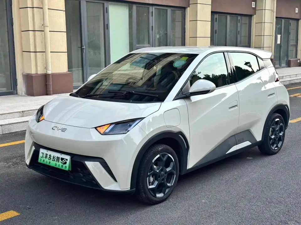 BYD Seagull 405km Soaring 2024