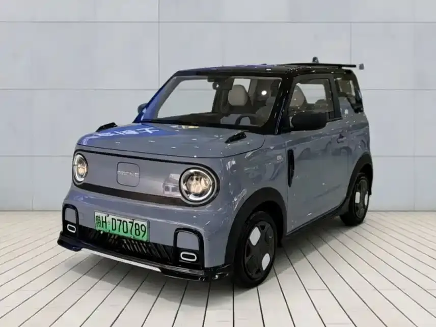 Geely Galaxy Panda 200km Panda Kart 2024