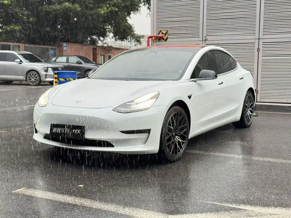 Tesla Model 3 (Import) Long Range RWD Version 2019