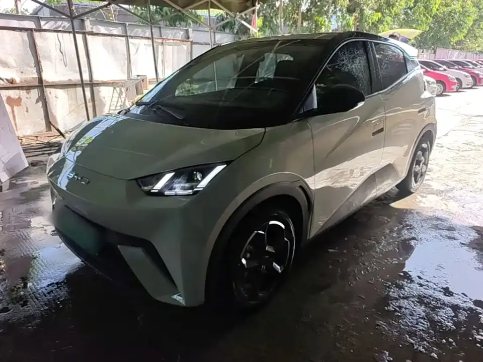 BYD Seagull Freedom Edition 2023
