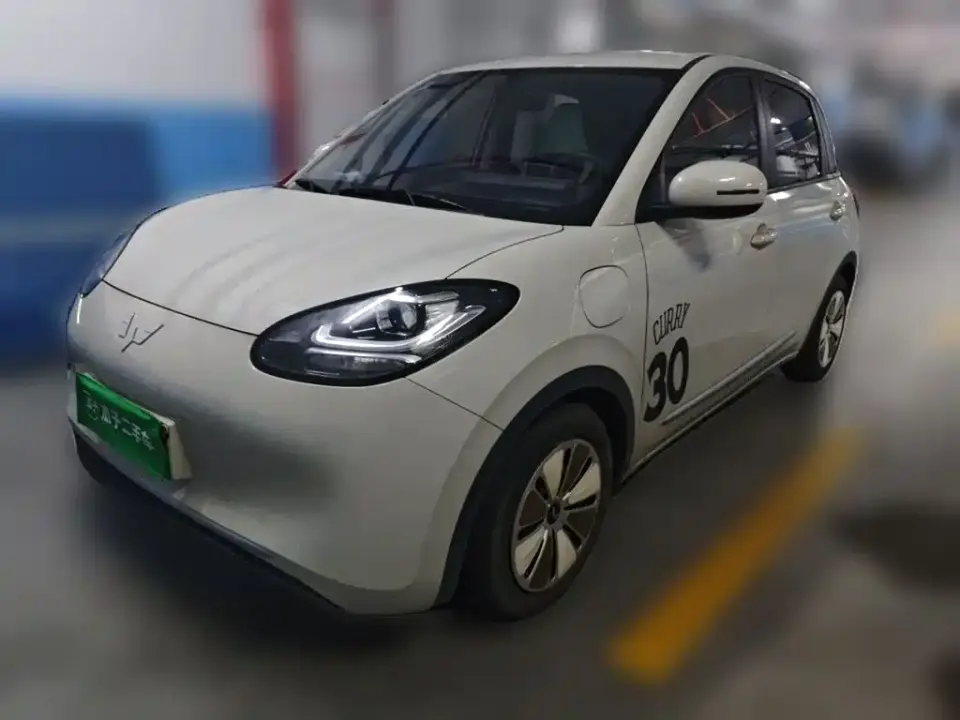 Wuling Motors Wuling Bingo 333km Quick Enjoy Version 2023