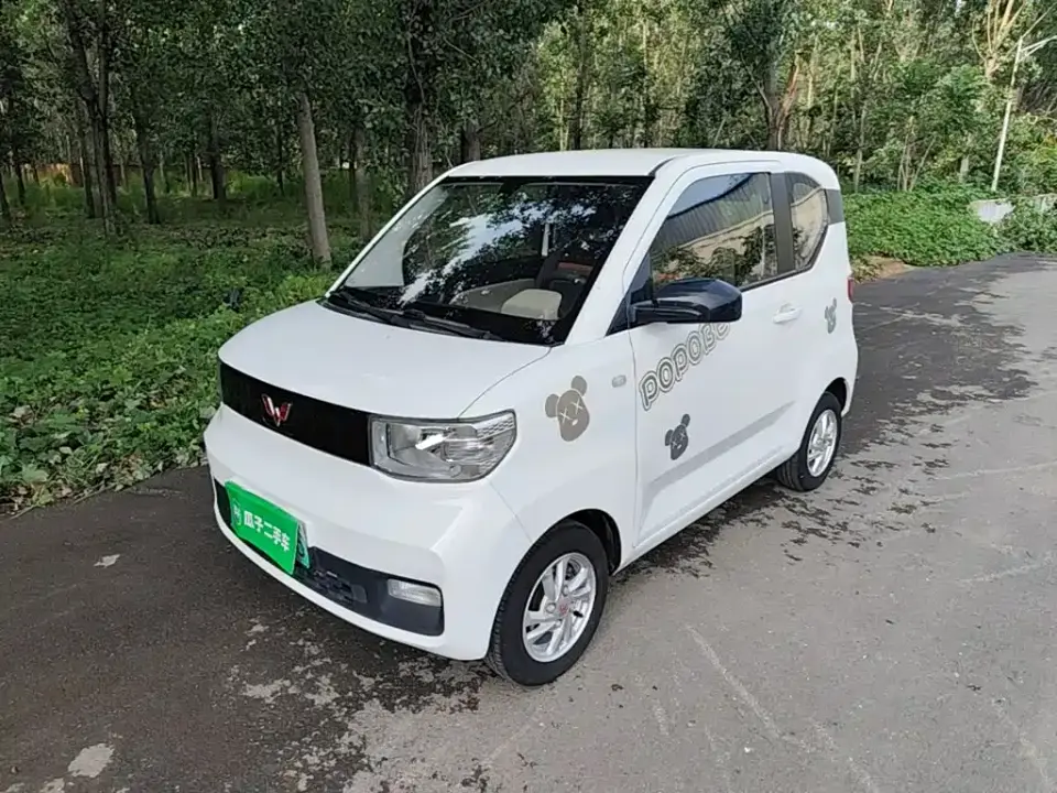 Wuling Motors Hongguang MINIEV Freedom Edition (LFP Battery) 2021