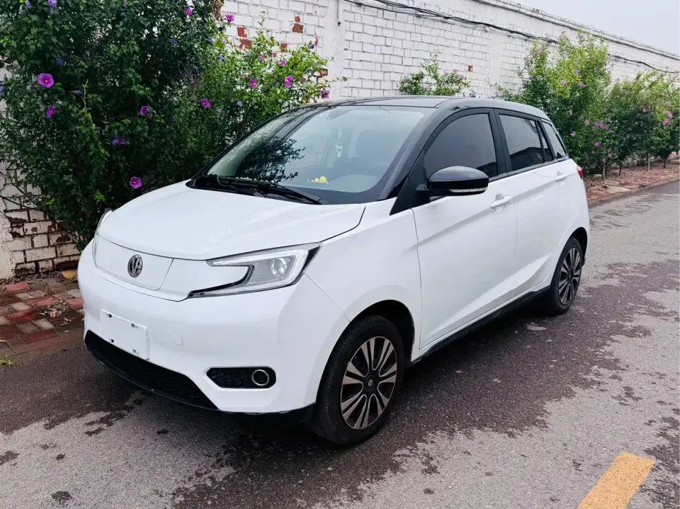 Electric House YOUNG Guang Xiaoxin 302KM Pearl Edition 2023