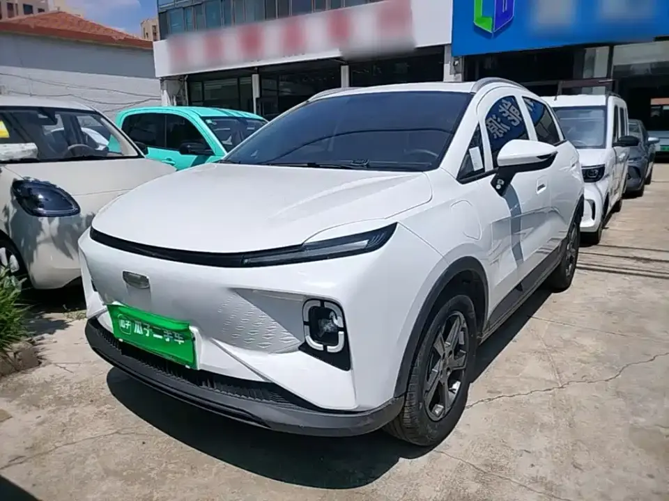 Geely Geometry E Firefly Model 301km Starlight 2024