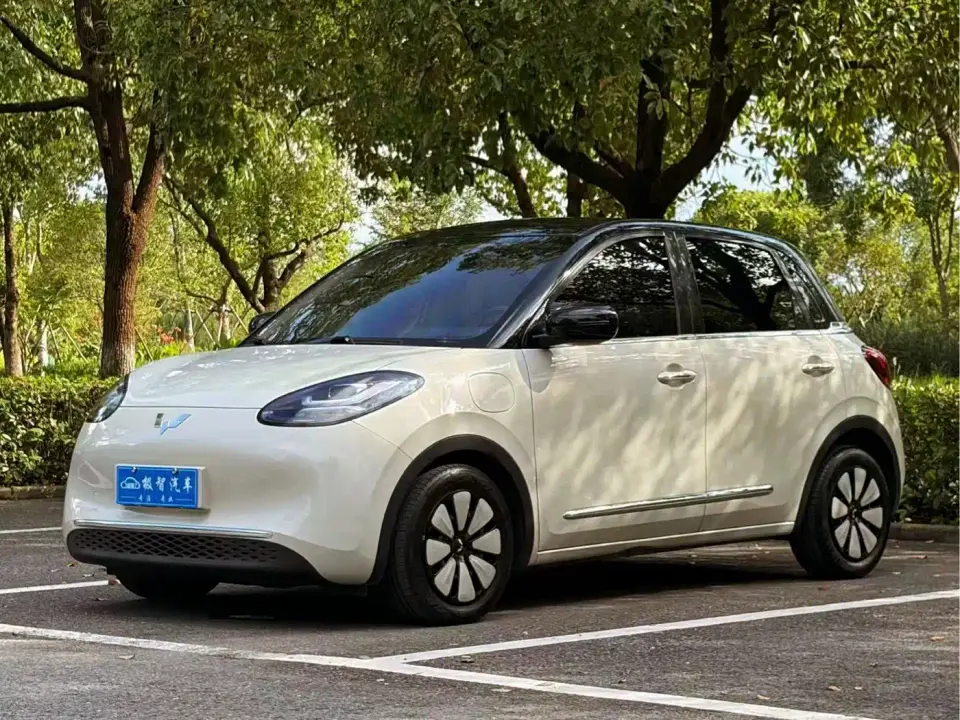 Wuling Motors Wuling Bingo Model 333km Joy+ Version 2024