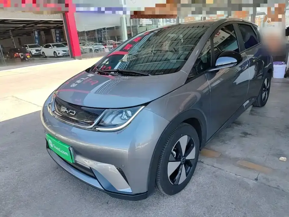 BYD Dolphin 420km Fashion Edition 2024