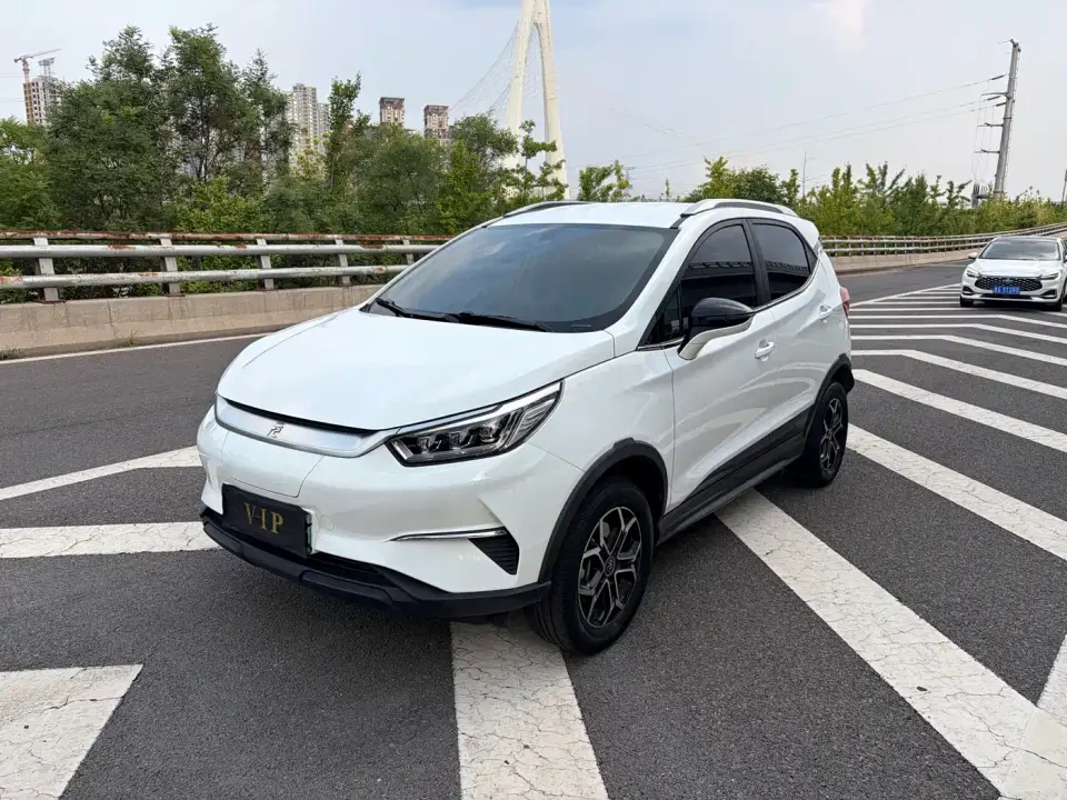 BYD Yuan Pro Lifetime Love Edition 2022
