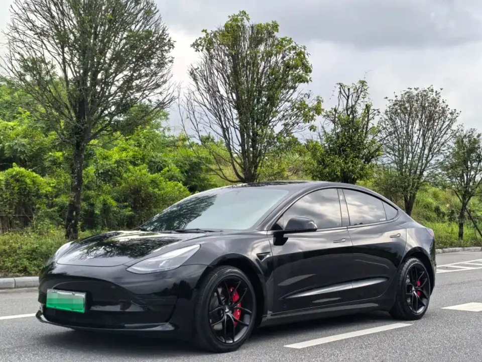 Tesla Model 3 Standard Range Rear-Wheel Drive Upgrade 3D6 2021