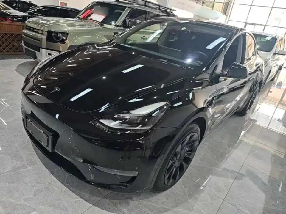 Tesla Model Y Standard Range Rear-Wheel Drive 2021