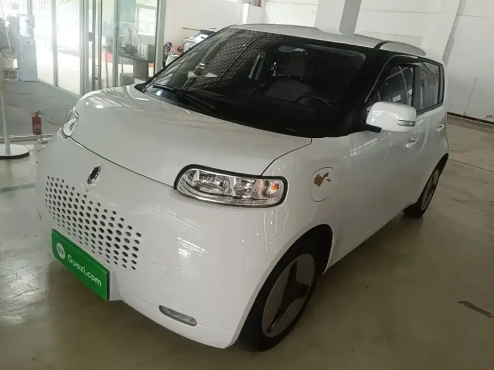 ORA White Cat 360km Luxury Model 2021