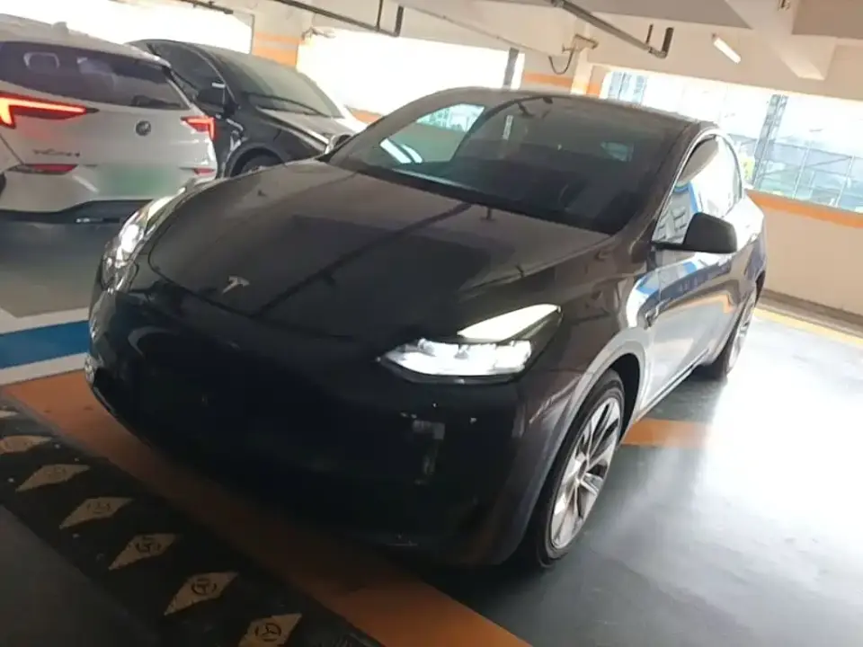 Tesla Model Y Model Long Range AWD 2021