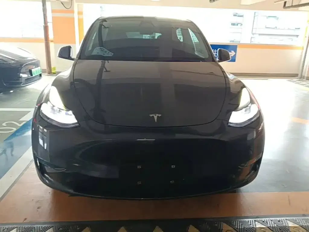 Tesla Model Y Model Long Range AWD 2021 — фото 3