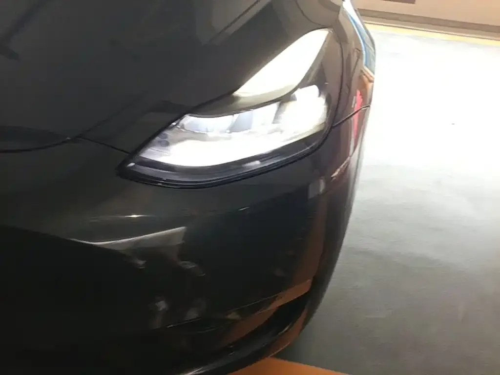 Tesla Model Y Model Long Range AWD 2021 — фото 24