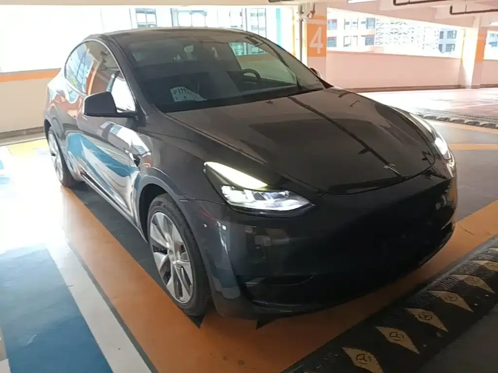 Tesla Model Y Model Long Range AWD 2021 — фото 4