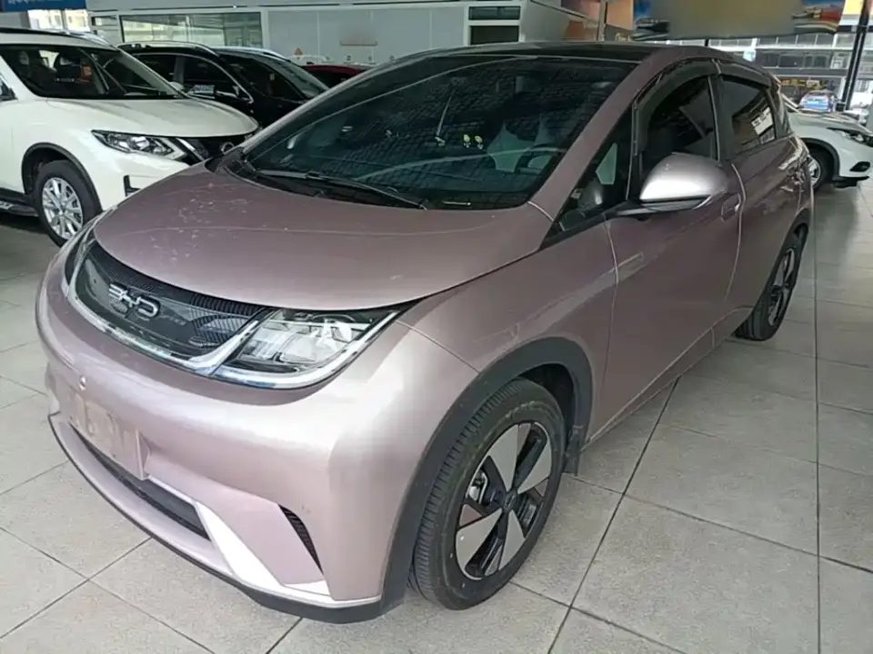 BYD Dolphin 420km Fashion Edition 2024