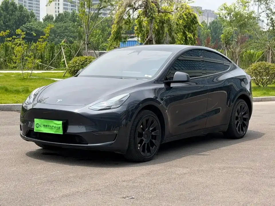 Tesla Model Y Long Range AWD 2024