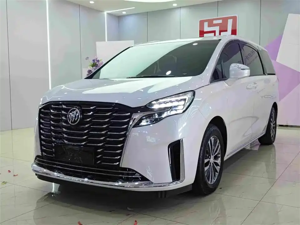 Buick GL8 ES Landmaster Comfort 2024
