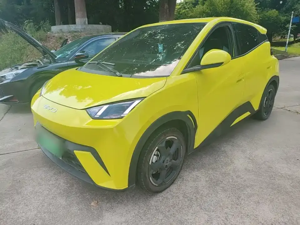 BYD Seagull Freedom Edition 2023