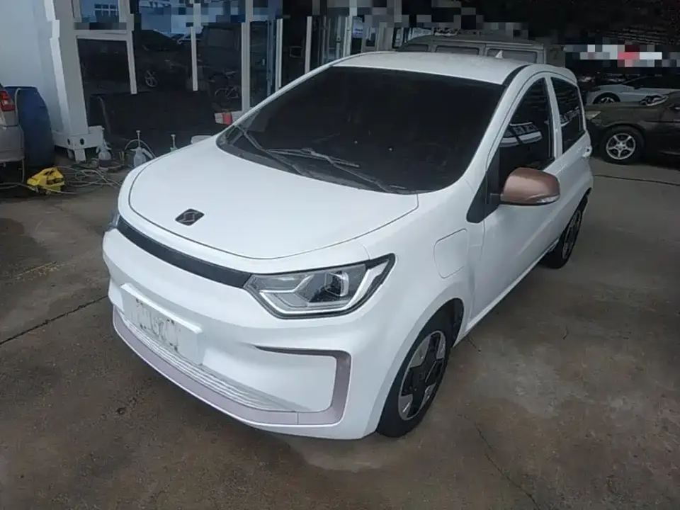 Sehol Flower Fairy 251km Four-leaf Clover 36kW 2023