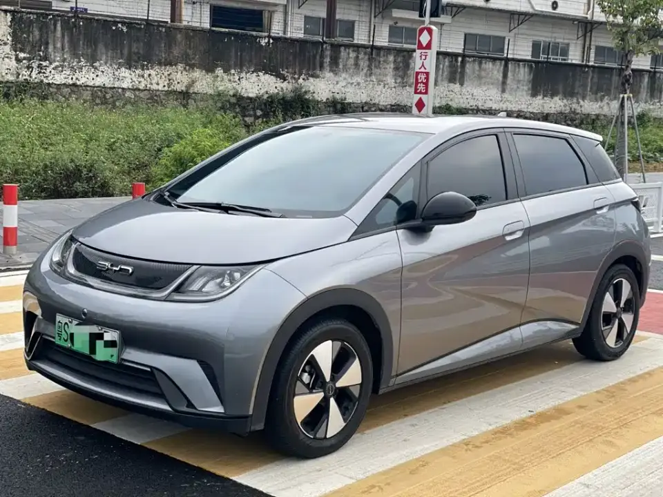 BYD Dolphin Glory Edition 420km Freedom Edition 2024