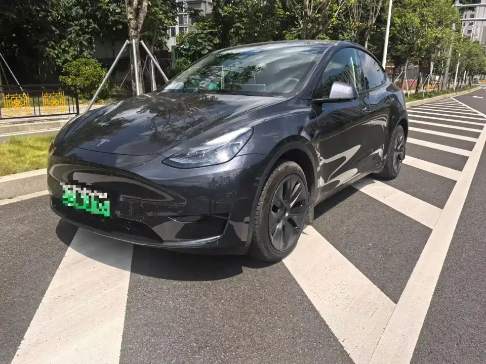 Tesla Model Y Rear-Wheel Drive Version 2024