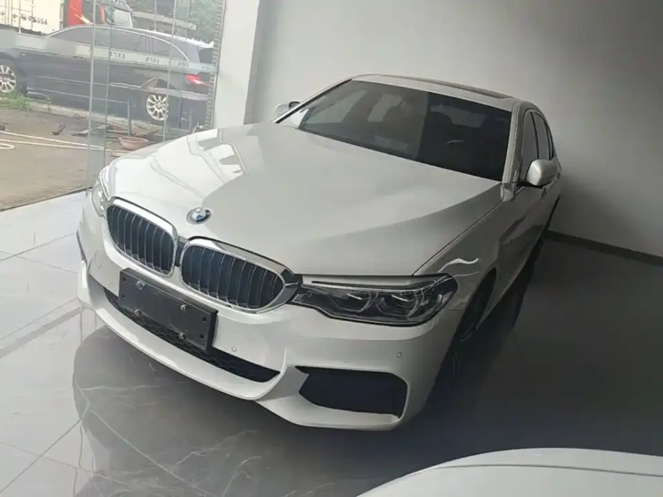 BMW 5 Series 530Li Leading M Sport Package 2020