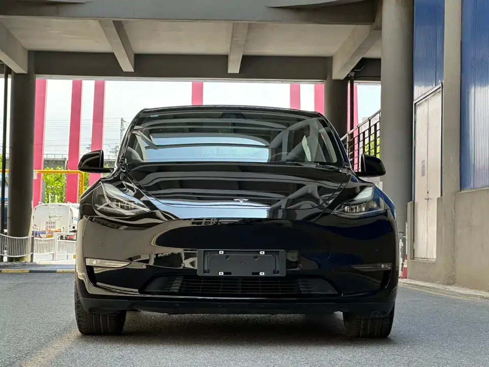 Tesla Model Y Model Long Range AWD 2021