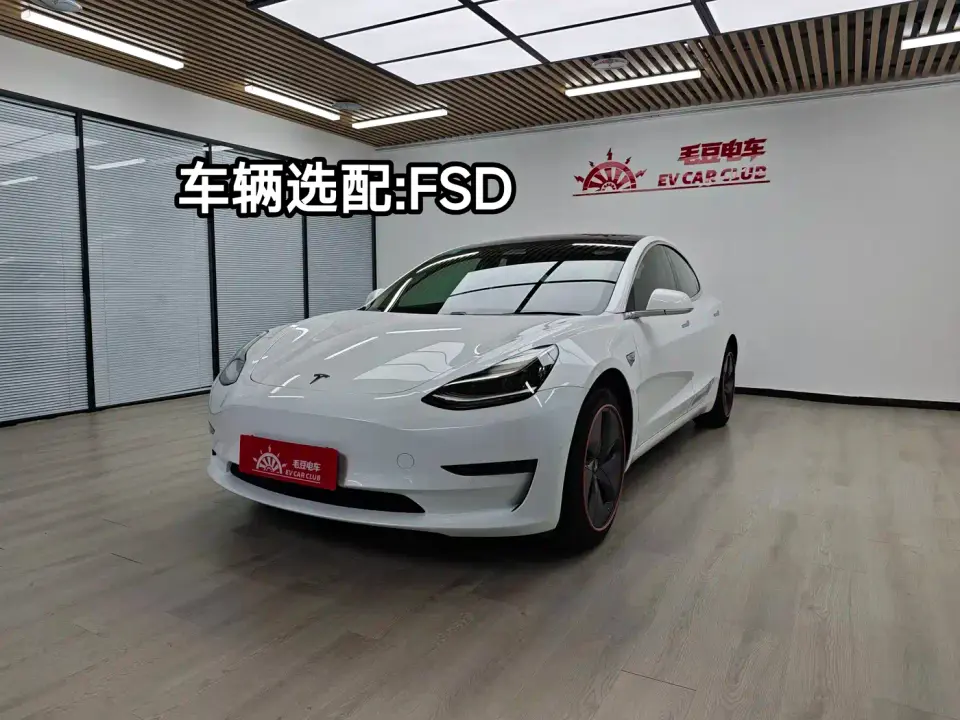 Tesla Model 3 (Import) Long Range RWD Version 2019