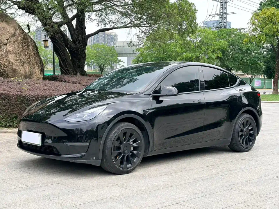 Tesla Model Y Standard Range Rear-Wheel Drive 2021