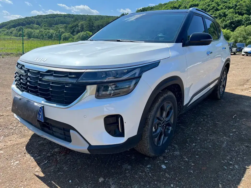 Kia Seltos 1.5L CVT Luxury Edition 2023